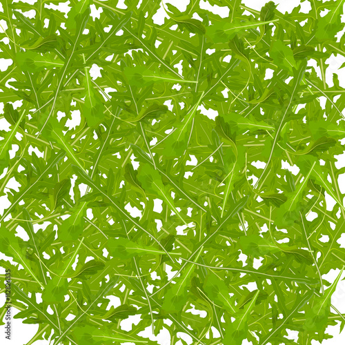 Texture with arugula design. Arugula, salad rocket leaf pattern. Vector Illustration