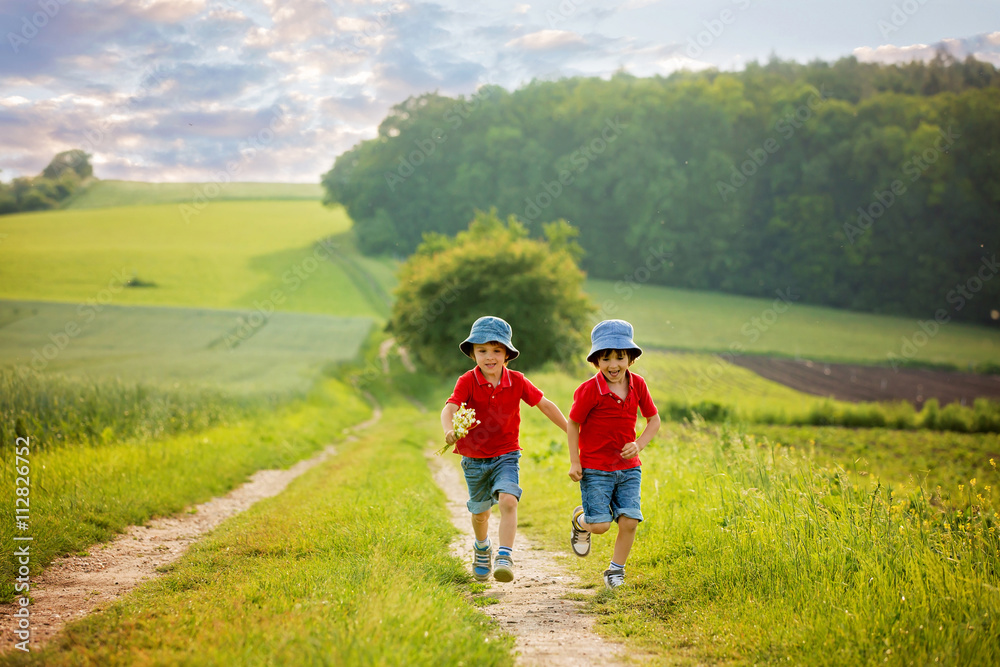 Adorable children, boy brothers, running in a field in the rural Adorable children, boy brothers, running in a field in the rural