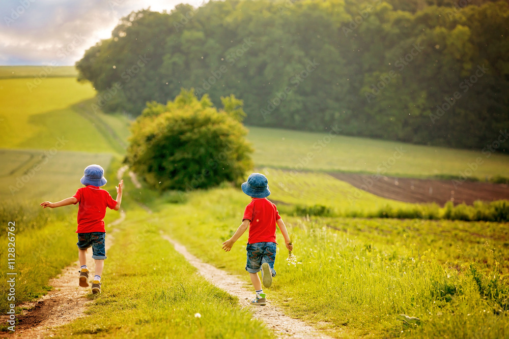 Obraz premium Adorable children, boy brothers, running in a field in the rural
