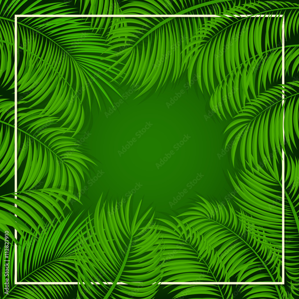 Palm leaves on green background