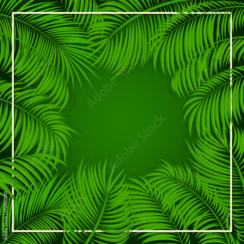 Palm leaves on green background © losw100
