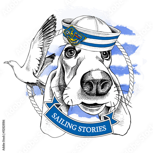 Dog Basset Hound portrait in a sailor's cap and with seagull. Vector illustration.
