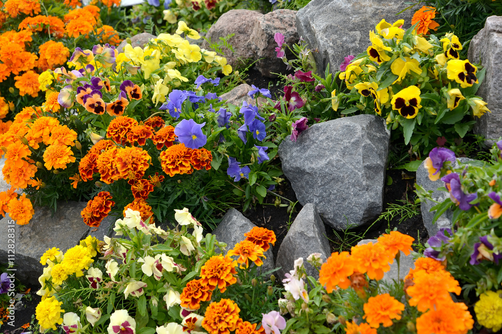 Landscaping with flowers and stones