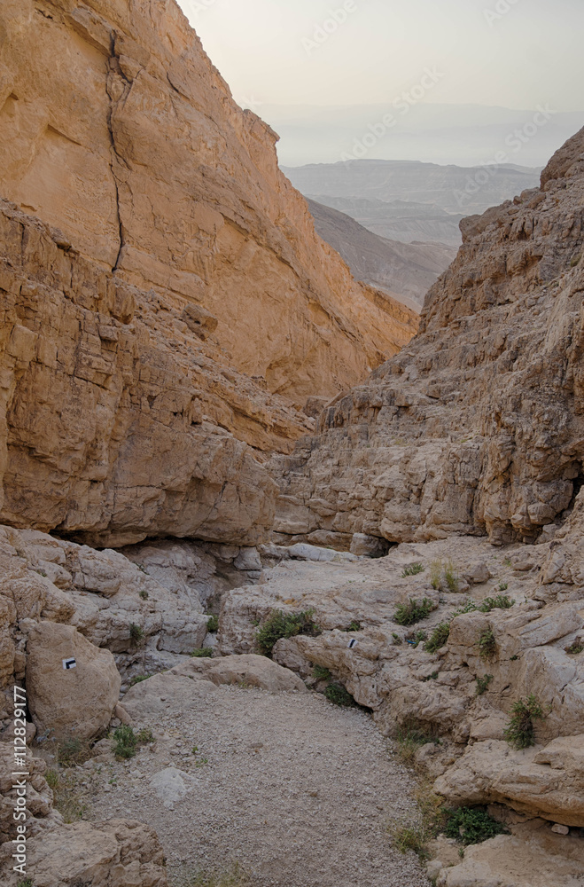 Desert landscape Desert landscape