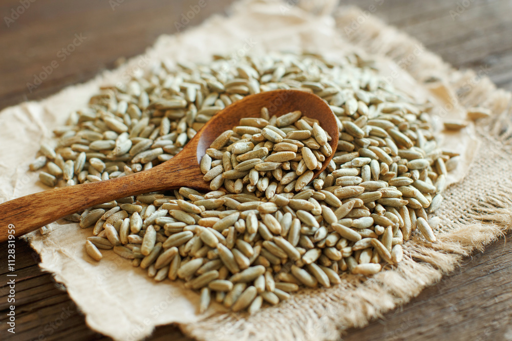 Pile of Dry Raw Rye Grain with a spoon Pile of Dry Raw Rye Grain with a spoon