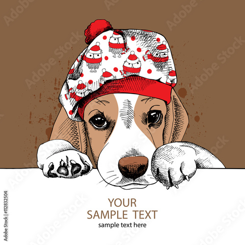The Image portrait of the dog Beagle in the beret hat with image owls. Vector illustration.
