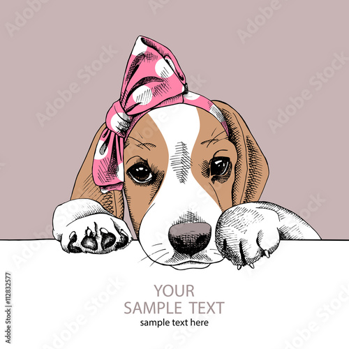 The image of the portrait Beagle dog in the headband. Vector illustration.