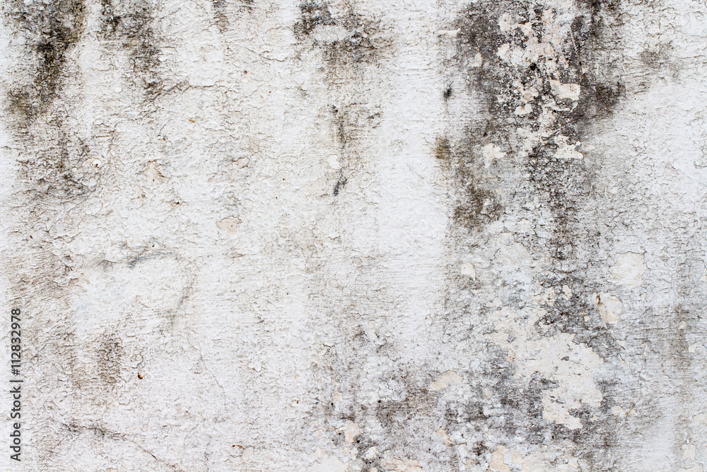 Obraz premium white concrete wall texture