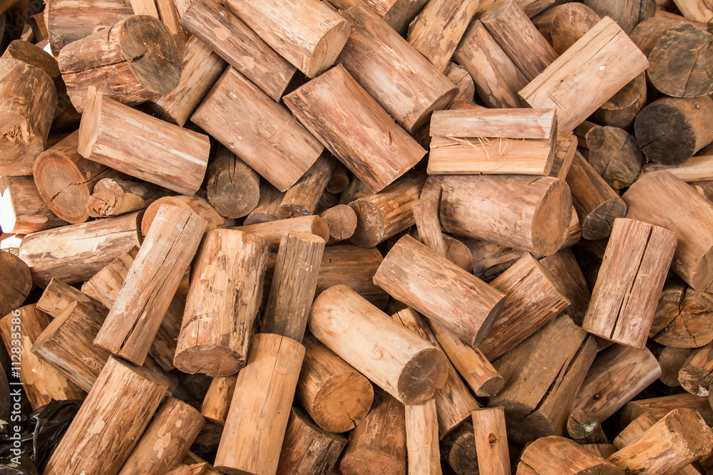wood seamless background with stumps, tree cuts, logs, ecology background wood seamless background with stumps, tree cuts, logs, ecology background