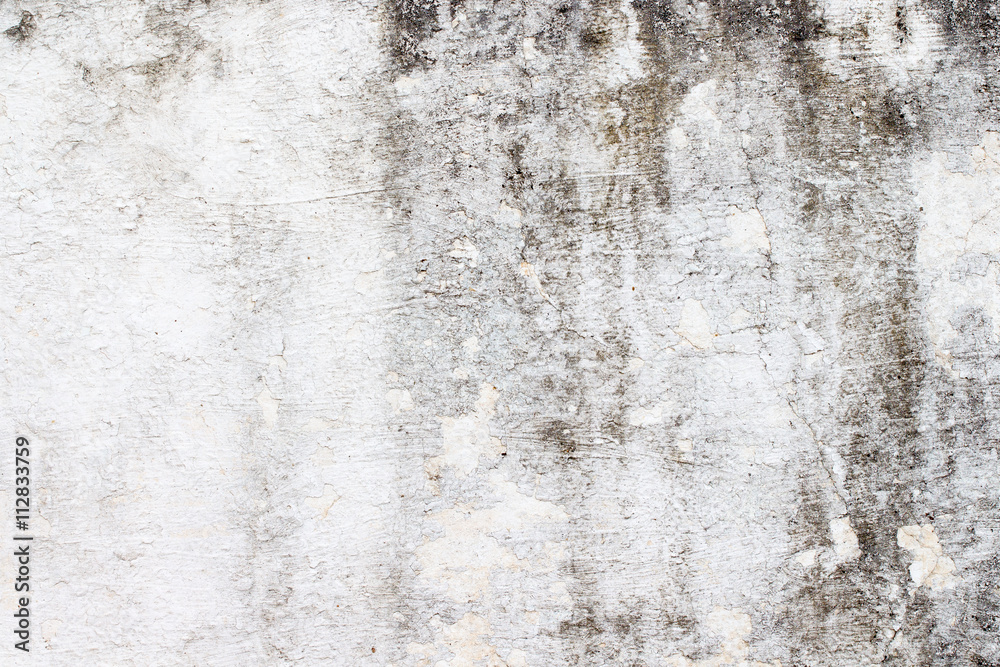 Obraz premium white concrete wall texture