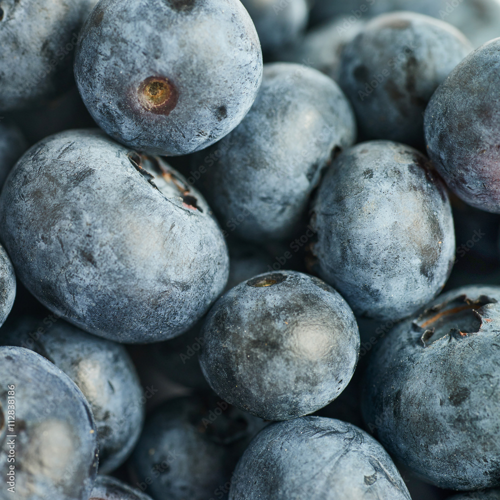 Bilberry or blueberry as texture background Bilberry or blueberry as texture background