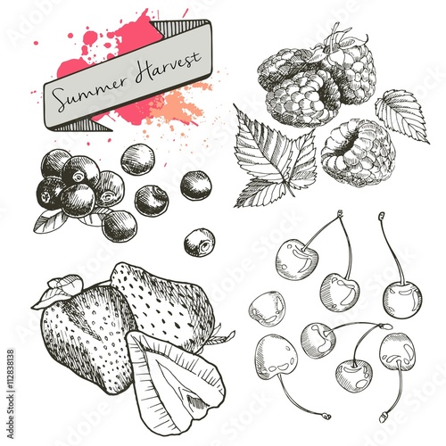 Vector set of summer harvest berries. Hand drawn vintage engraved art. Cherry? blueberry? strawberry? raspberry. Isolated on white background.