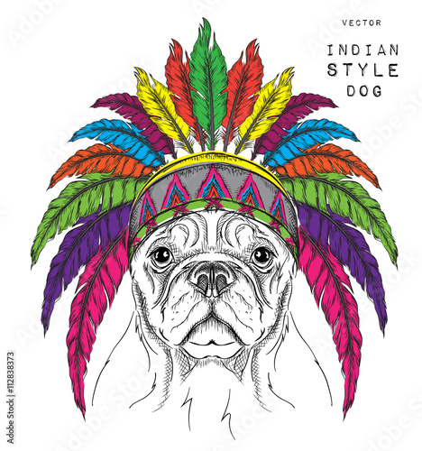 Dog in the colored Indian roach. Indian feather headdress of eagle. Hand draw vector  illustration