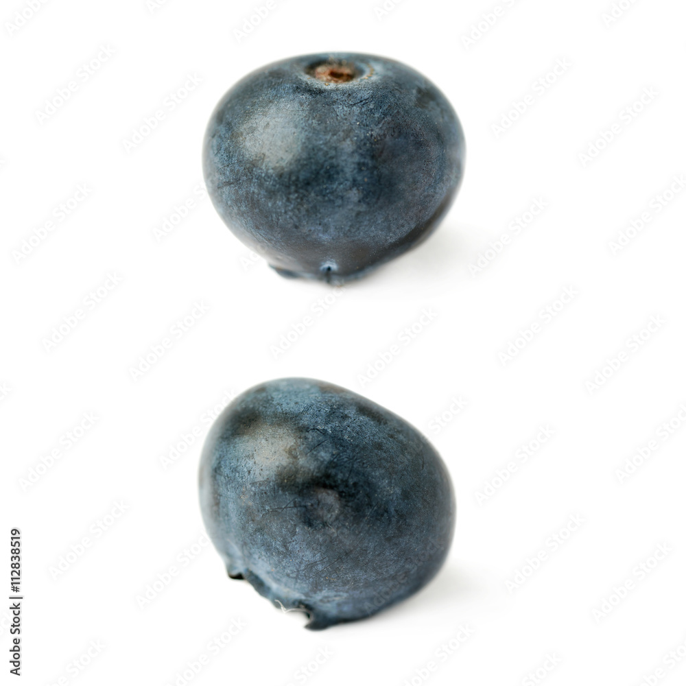 Set of Single berry of Bilberry or blueberry over isolated white background Set of Single berry of Bilberry or blueberry over isolated white background