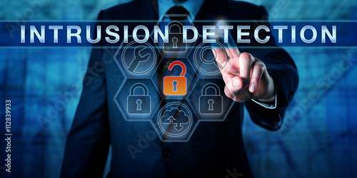 Vászonkép Businessman Pushing INTRUSION DETECTION