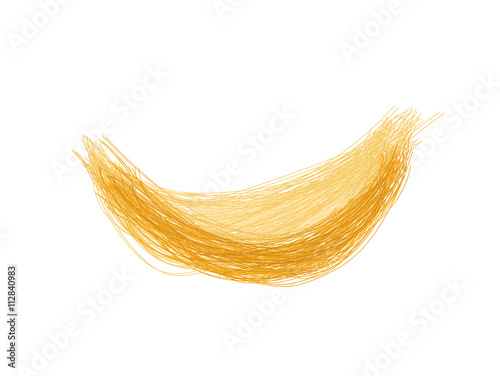 bird nest . the ancient food and medicine of asian vector . yellow bird nest