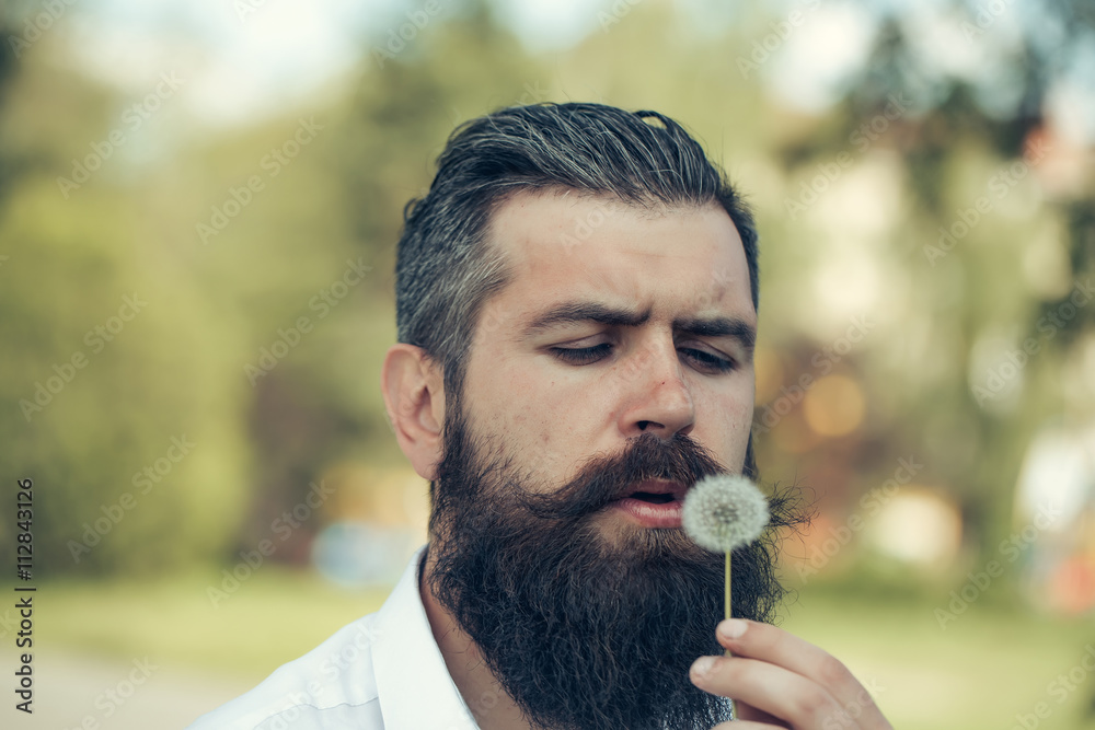 Fototapeta premium Bearded man with dandelion