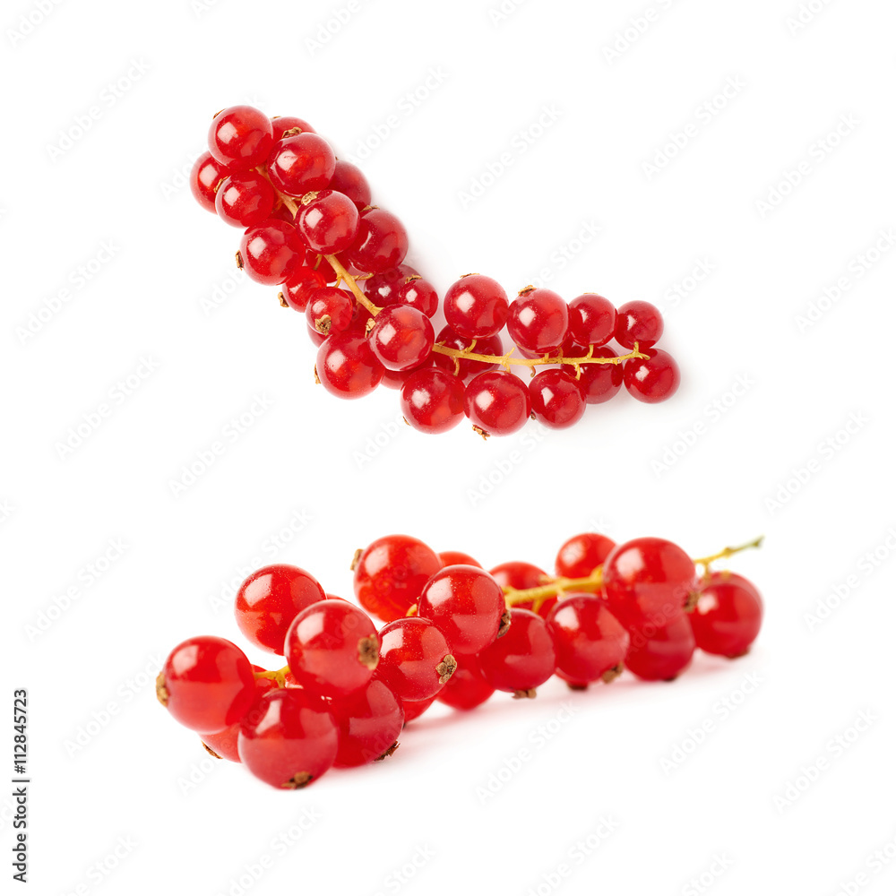 Set of Red Currant isolated over white background Set of Red Currant isolated over white background