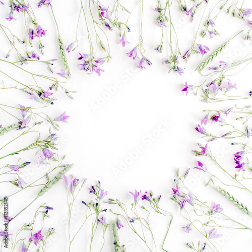 frame with bluebell flowers isolated on white background. flat lay  overhead view
