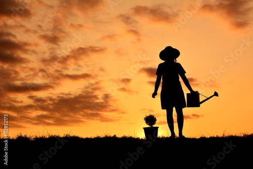 Silhouette women watering a tree at sky sunset. Concept saves the world
