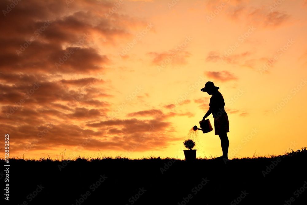 Silhouette women watering a tree at sky sunset. Concept saves the world