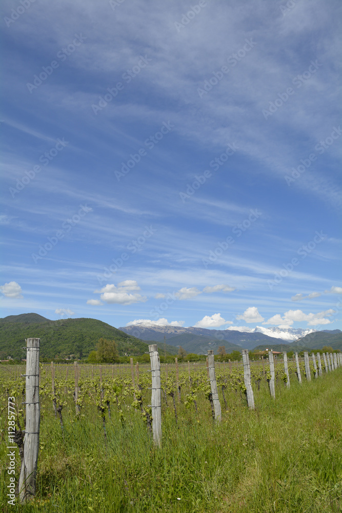Obraz premium Spring Landscape Near Cividale del Friuli