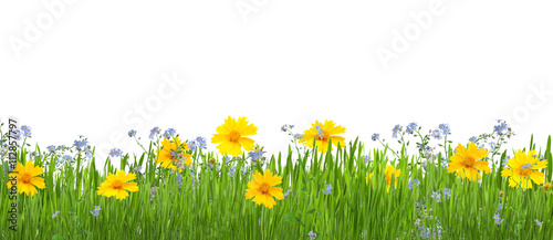 Beautiful garden with flower white copy space for your text