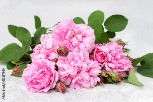 Dog Rose Pink Rosa Canina Flowers Grey Table