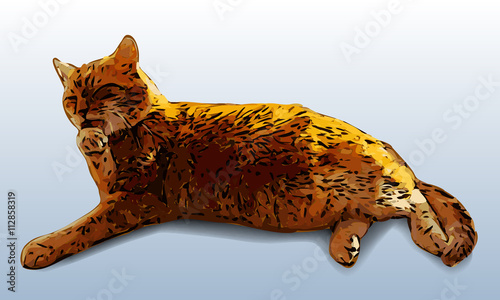 Washing ginger cat vector