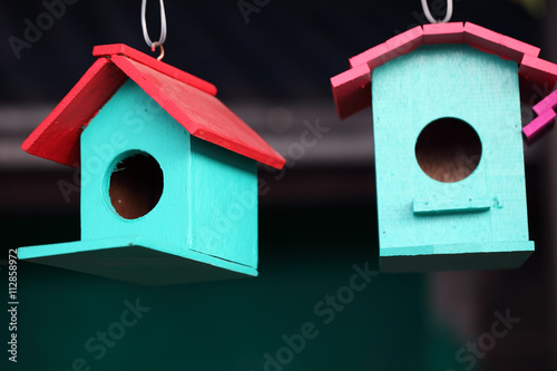 colorful bird house as background.