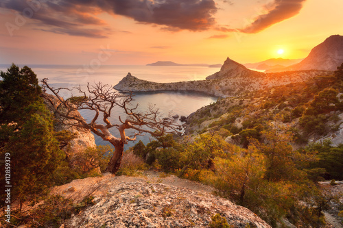 Landscape with beautiful vi...