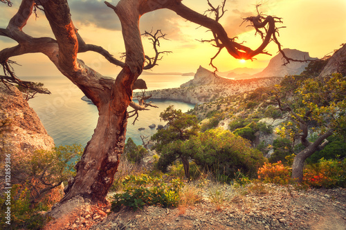 Landscape with beautiful vi...