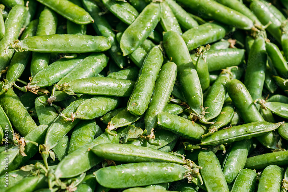 Vegetable Organic Green Beans Background Vegetable Organic Green Beans Background