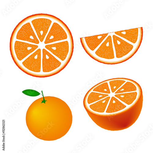 Collection of oranges, isolated on white background, vector illustration.