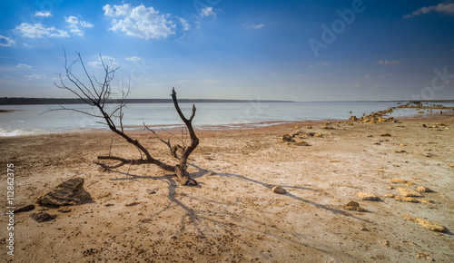 Drying lake and dead tree with stone in front