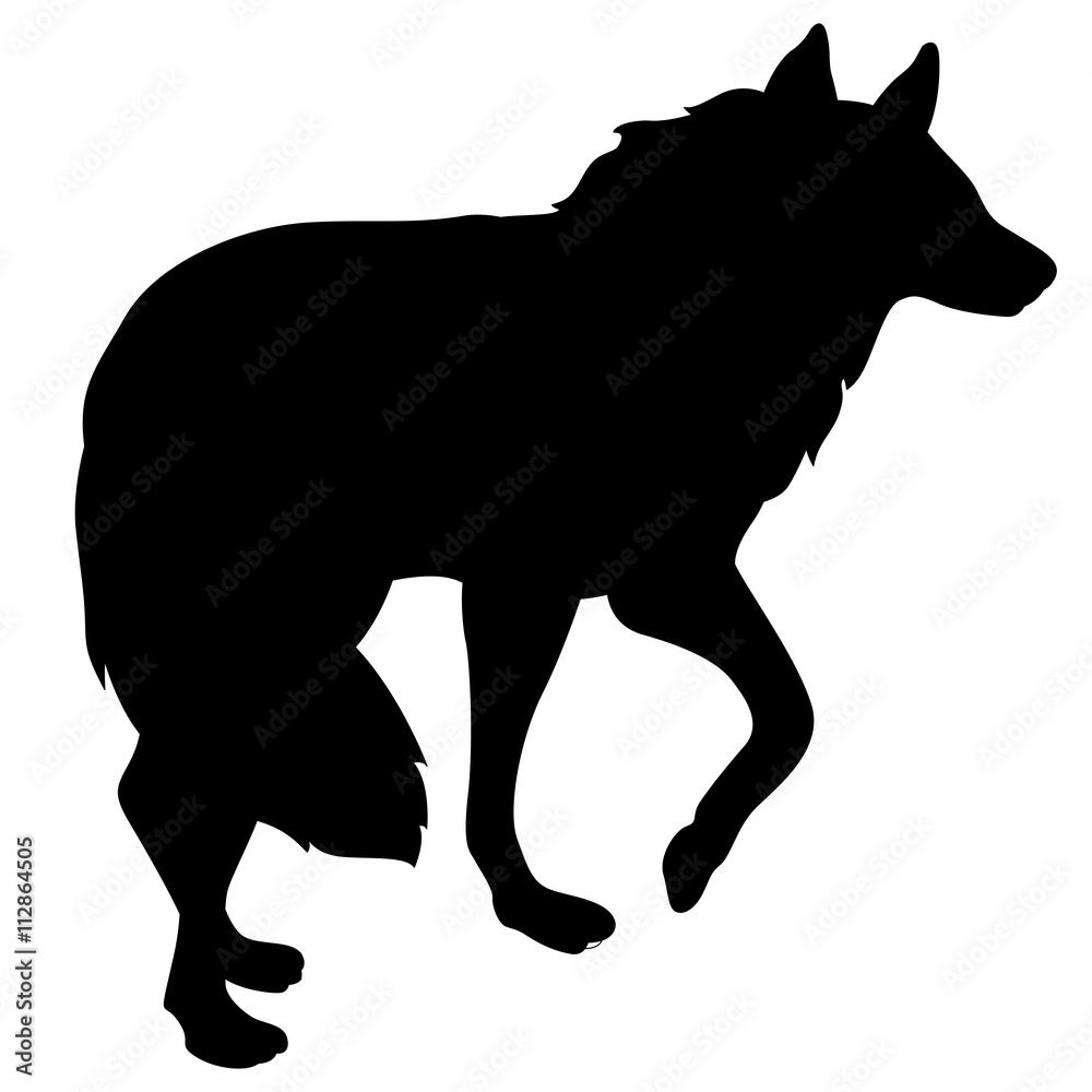 adult wolf standing black silhouette vector illustration