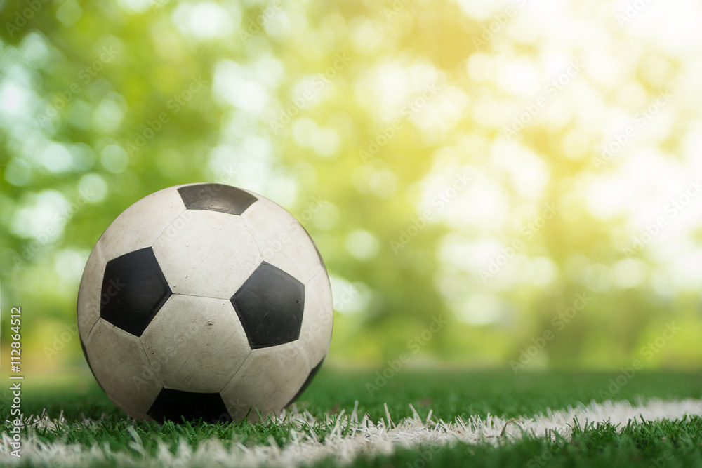 Fototapeta premium soccer ball on soccer field and bokeh background