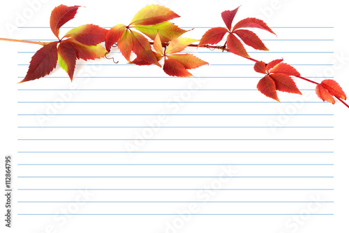 Red autumn branch of grapes leaves on notebook paper