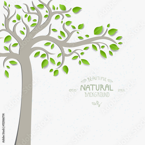Tree with green leaves