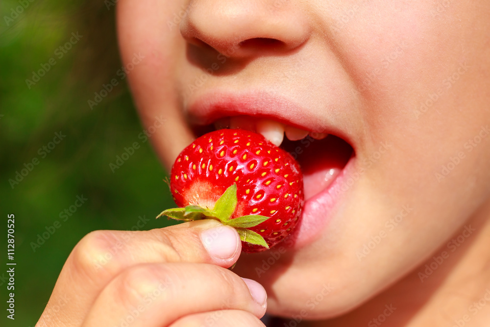 Girl, bites eating, ripe strawberries close-up view.