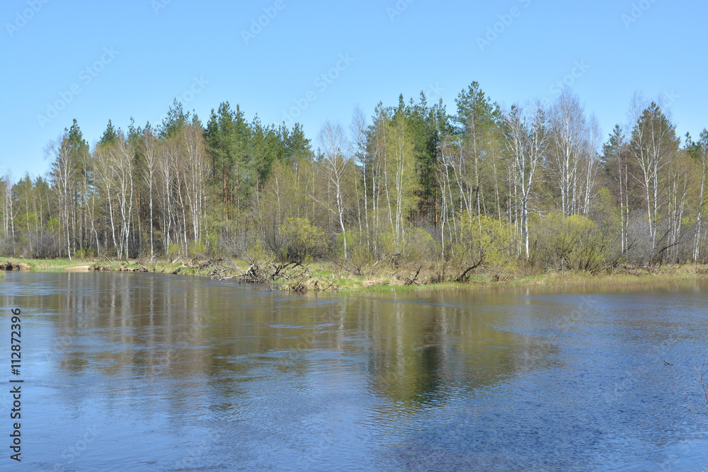 . Spring on the forest river.