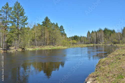 Fototapeta Naklejka Na Ścianę i Meble -  . Spring on the forest river.
