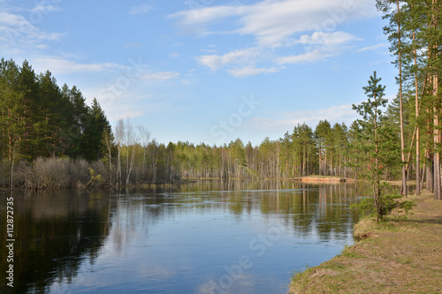 Shore the forest river in springtime.