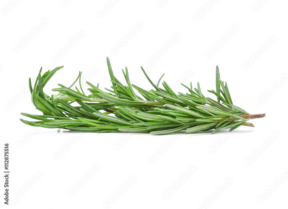 rosemary isolated on white background rosemary isolated on white background