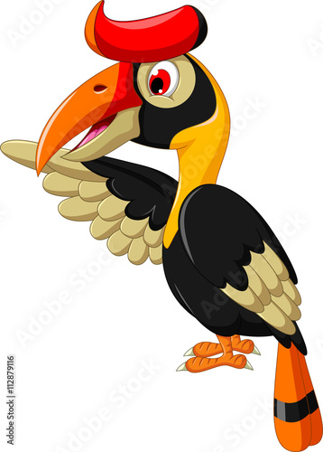 cute hornbill cartoon posing