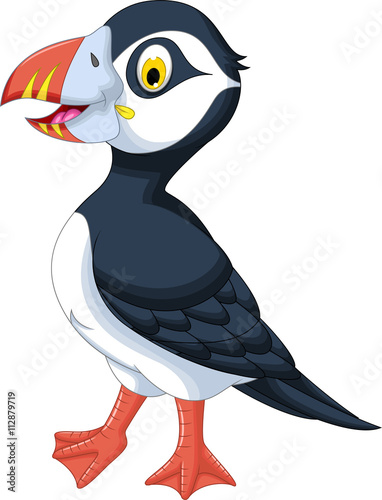 cute atlantic puffin cartoon posing