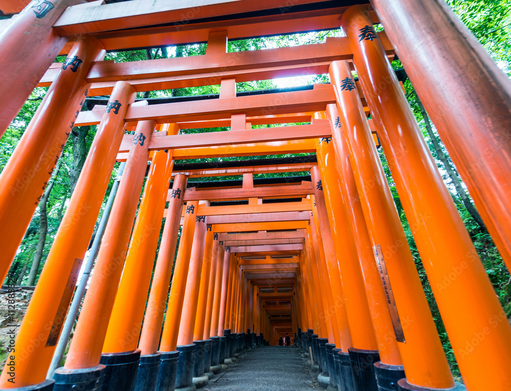 Shrine of Fushimi Inari in Kyoto Shrine of Fushimi Inari in Kyoto