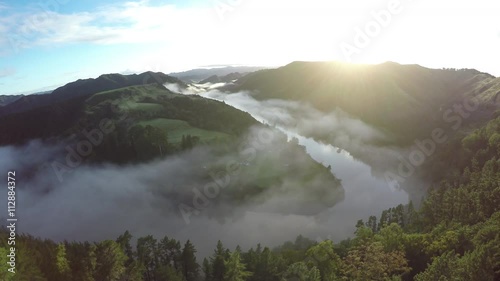 Aerial view over pine forest of Whanganui River covered in early morning fog, New Zealand 