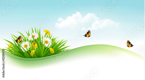 Summer background with grass  flowers and butterflies. Vector.