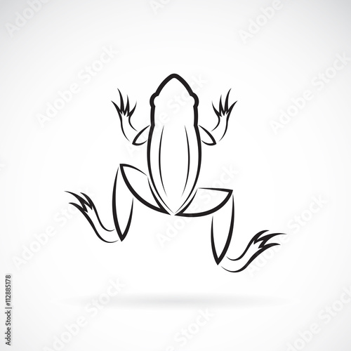 Vector image of an frog design on white background.